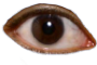 eye